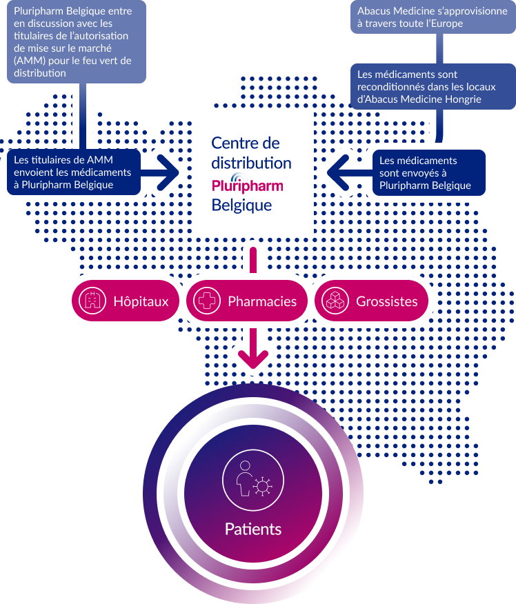 illustration business model vertical be fr